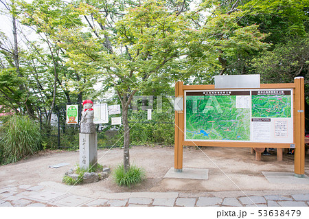 高尾山　高尾山頂　山頂広場 53638479