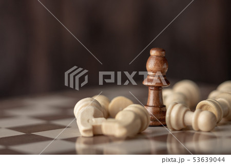 Wooden queen standing in the midst of falling Wooden queen standing in the midst of falling 53639044