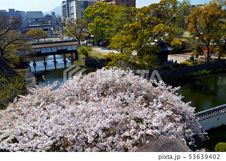 府内城 府内城 53639402