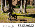 春のひだまりのベンチ 53639682