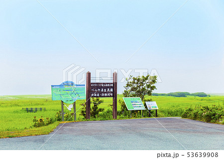 ベニヤ原生花園 夏景 ベニヤ原生花園 夏景 53639908