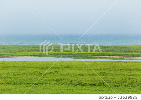 ベニヤ原生花園 夏景 ベニヤ原生花園 夏景 53639935