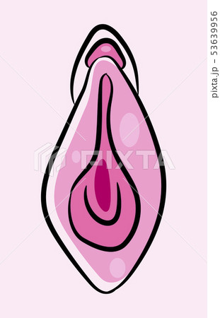 Human Vagina, Vaginal Opening Or Female Human Vagina, Vaginal Opening Or Female 53639956