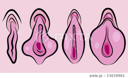 Human Vagina, Vaginal Opening Or Female 53639962