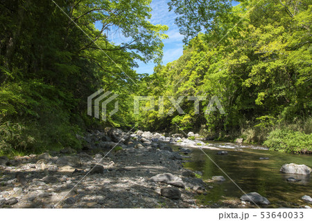 新緑の吾妻峡 ドレミファ橋上流側 新緑の吾妻峡 ドレミファ橋上流側 53640033