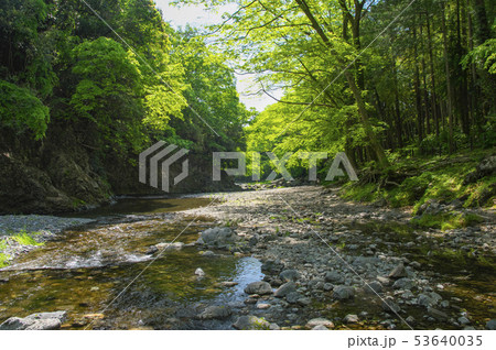 新緑の吾妻峡　ドレミファ橋下流側 53640035