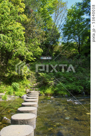 新緑の吾妻峡 ドレミファ橋 新緑の吾妻峡 ドレミファ橋 53640038
