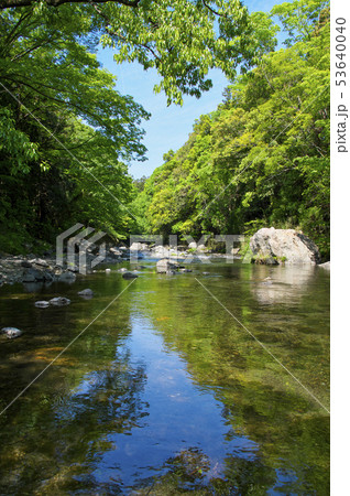 新緑の吾妻峡　ドレミファ橋上流側 53640040