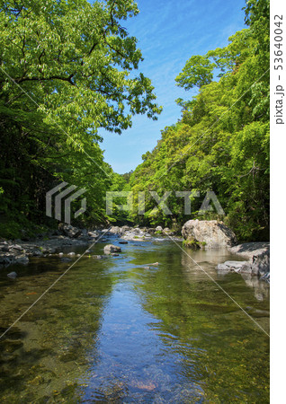 新緑の吾妻峡　ドレミファ橋上流側 53640042