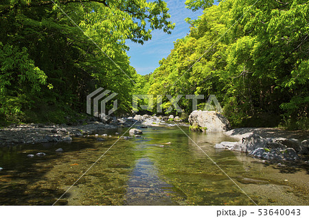 新緑の吾妻峡　ドレミファ橋上流側 53640043