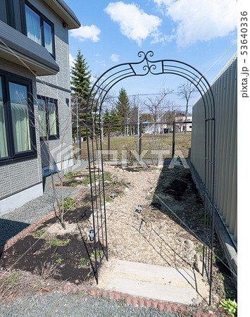 早春の庭 53640336