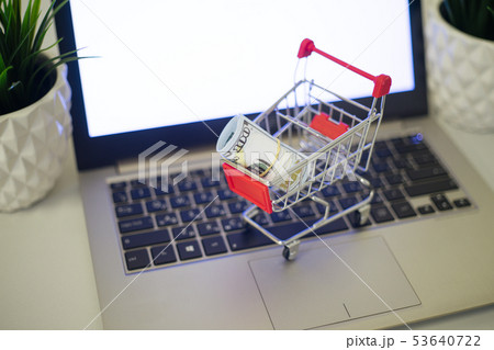 Online shopping concept. A cart with money is on 53640722