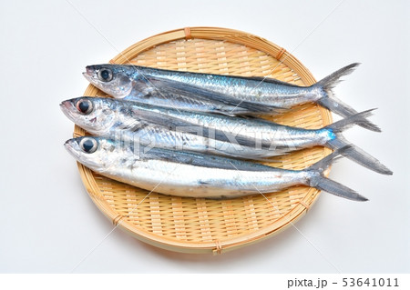 とびうお、トビウオ、飛び魚、飛魚、海水魚、鮮魚、食材（生・未加熱） 53641011