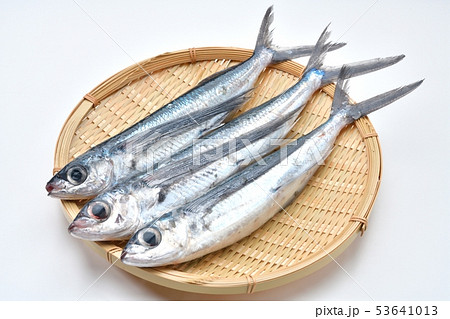 とびうお、トビウオ、飛び魚、飛魚、海水魚、鮮魚、食材（生・未加熱） 53641013