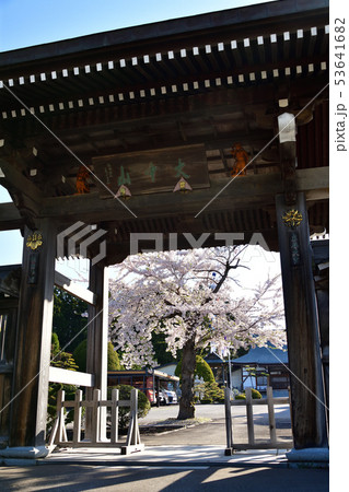 北海道七飯町で大中山法雲寺の境内に咲く桜の花の風景を撮影 53641682