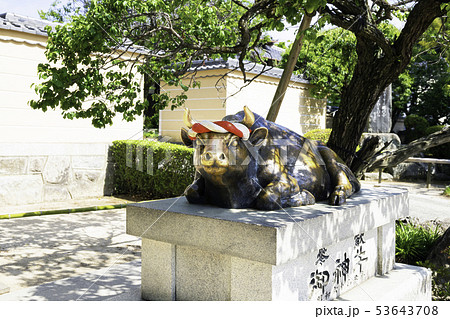 太宰府天満宮 御神牛 53643708