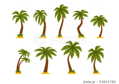 Flat vector set of cartoon tropical palms. High trees with long green leaves and brown trunks 53643782