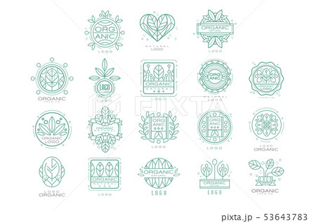 Vector set of original organic logos. Linear emblems with abstract leaves for natural cosmetics, eco 53643783