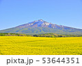 岩木山と菜の花 53644351