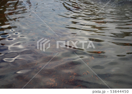 水面 53644450