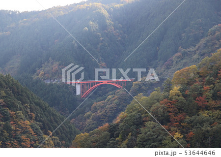 広島の紅葉 53644646