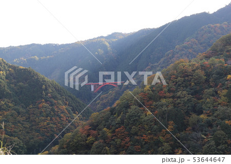広島の紅葉 広島の紅葉 53644647