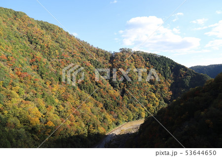 広島の紅葉 53644650