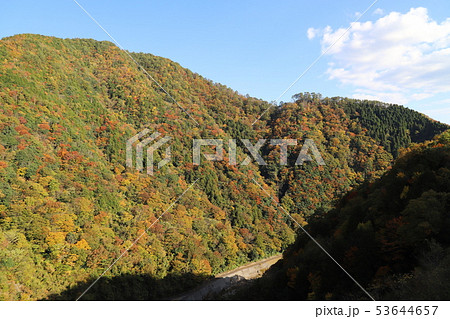 広島の紅葉 53644657