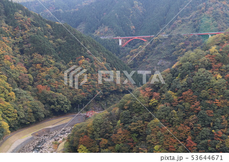 広島の紅葉 広島の紅葉 53644671