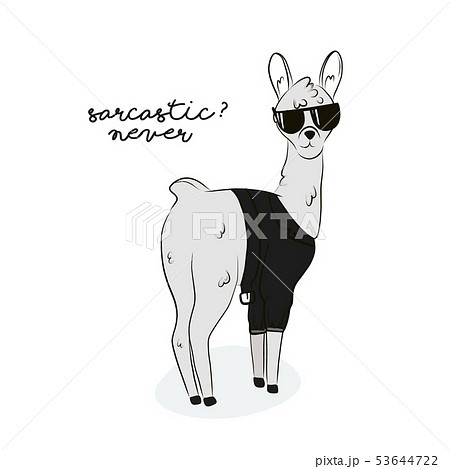 Sarcastic llama illustration. Modern alpaca in Sarcastic llama illustration. Modern alpaca in 53644722