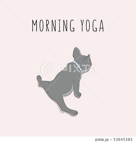 Vector Pug In Split Morning Yoga Exersise Cartoonのイラスト素材