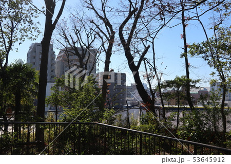 おとめ山公園(東京都新宿区) 53645912