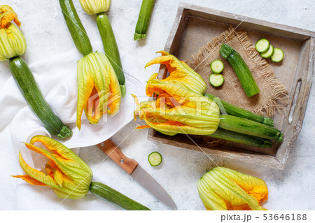 Young Zucchini With Flowers Young Zucchini With Flowers 53646188