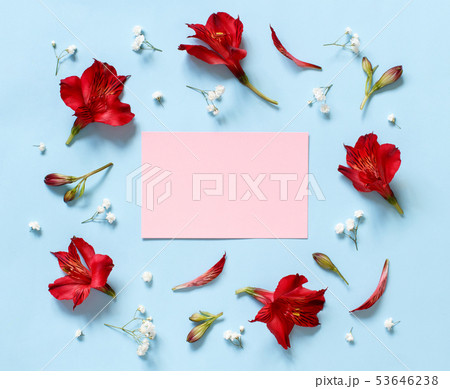 Flowers on a light blue background Flowers on a light blue background 53646238