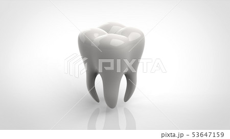 歯　 53647159