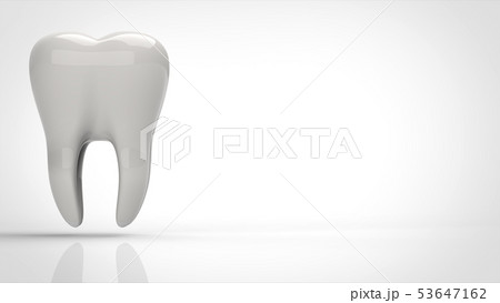 歯　左　正面 53647162