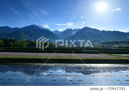 北杜市白州町、光あふれる晩春のベルガ通り 北杜市白州町、光あふれる晩春のベルガ通り 53647281