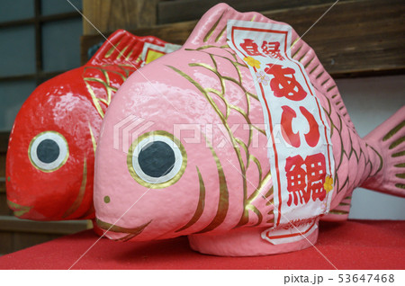 【埼玉】川越氷川神社の一年安鯛 53647468