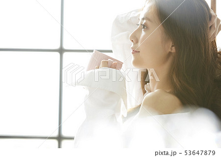 女性 ライフスタイル 女性 ライフスタイル 53647879