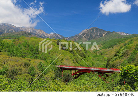 新緑の東沢大橋 53648746