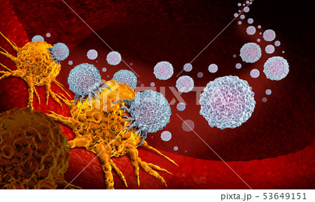 Cancer Vaccine Therapy 53649151