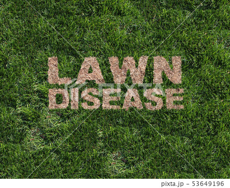Lawn Disease Lawn Disease 53649196