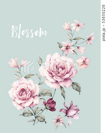 生花 活け花 透明水彩 53650226