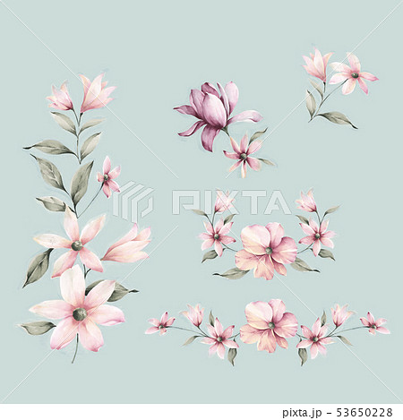 生花 活け花 透明水彩 53650228