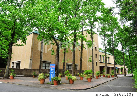 町田市 芹ヶ谷公園 国際版画美術館と新緑 町田市 芹ヶ谷公園 国際版画美術館と新緑 53651108