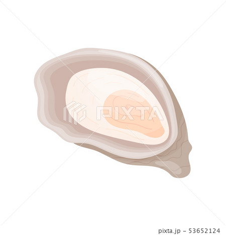 Raw oyster in the sink. Vector illustration on white background. 53652124