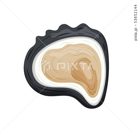 Black Open Oyster Shell Vector Illustration On のイラスト素材