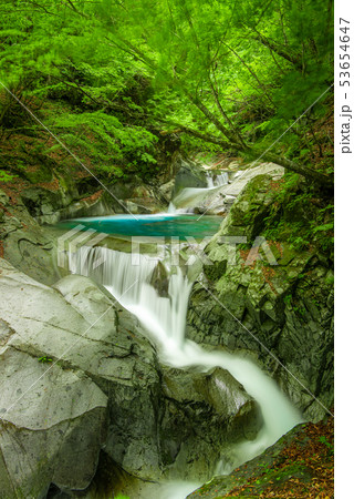 新緑の西沢渓谷　三重の滝 53654647
