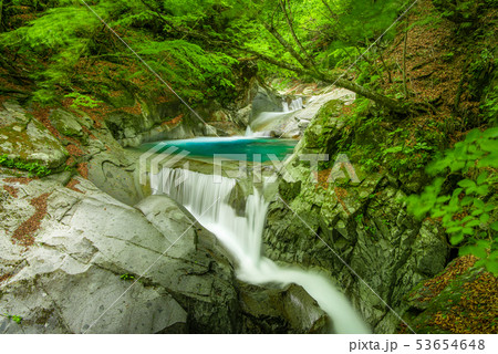 新緑の西沢渓谷　三重の滝 53654648