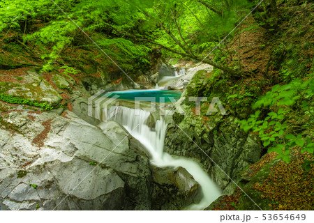 新緑の西沢渓谷 三重の滝 新緑の西沢渓谷 三重の滝 53654649